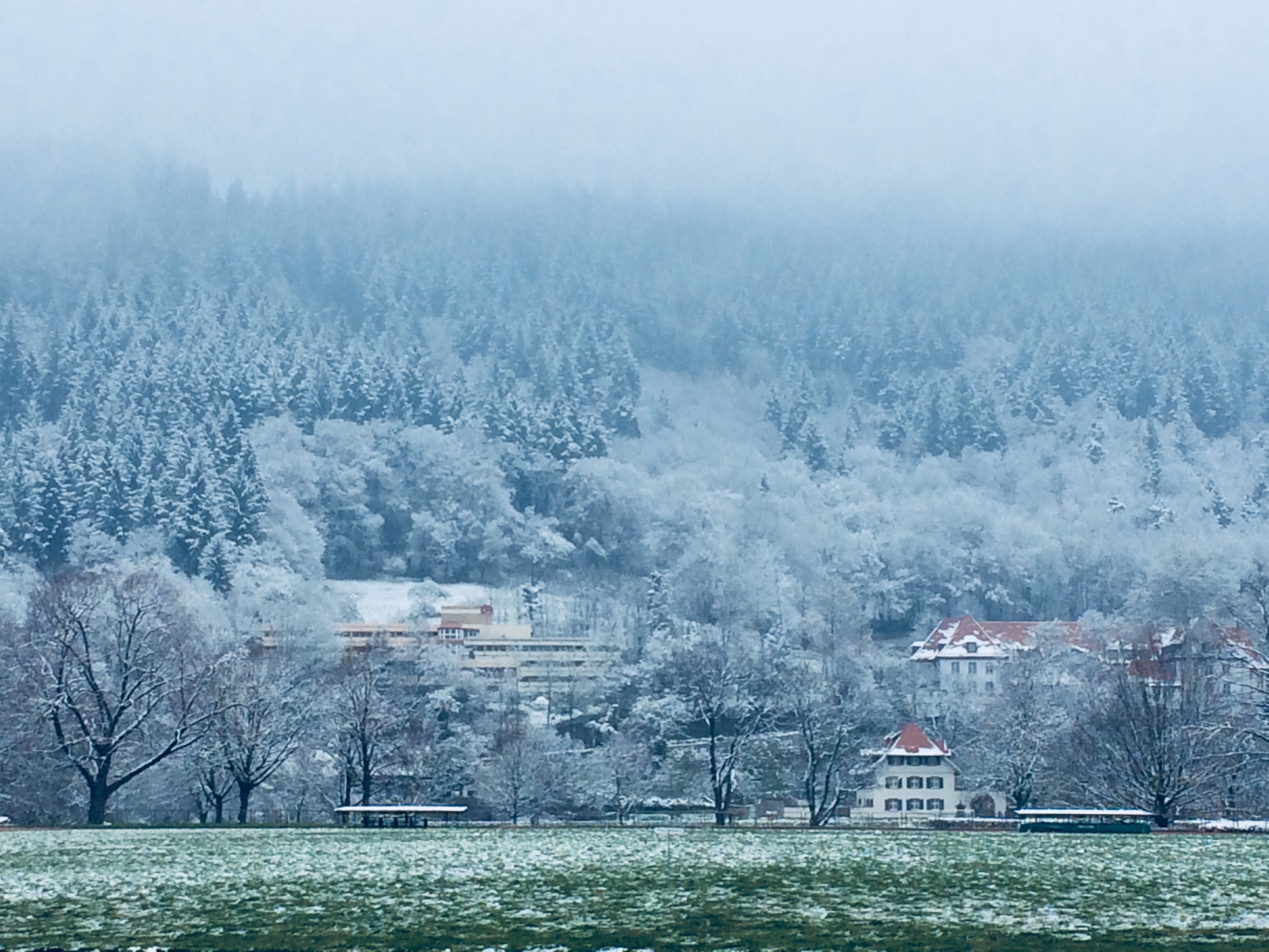 freiburg